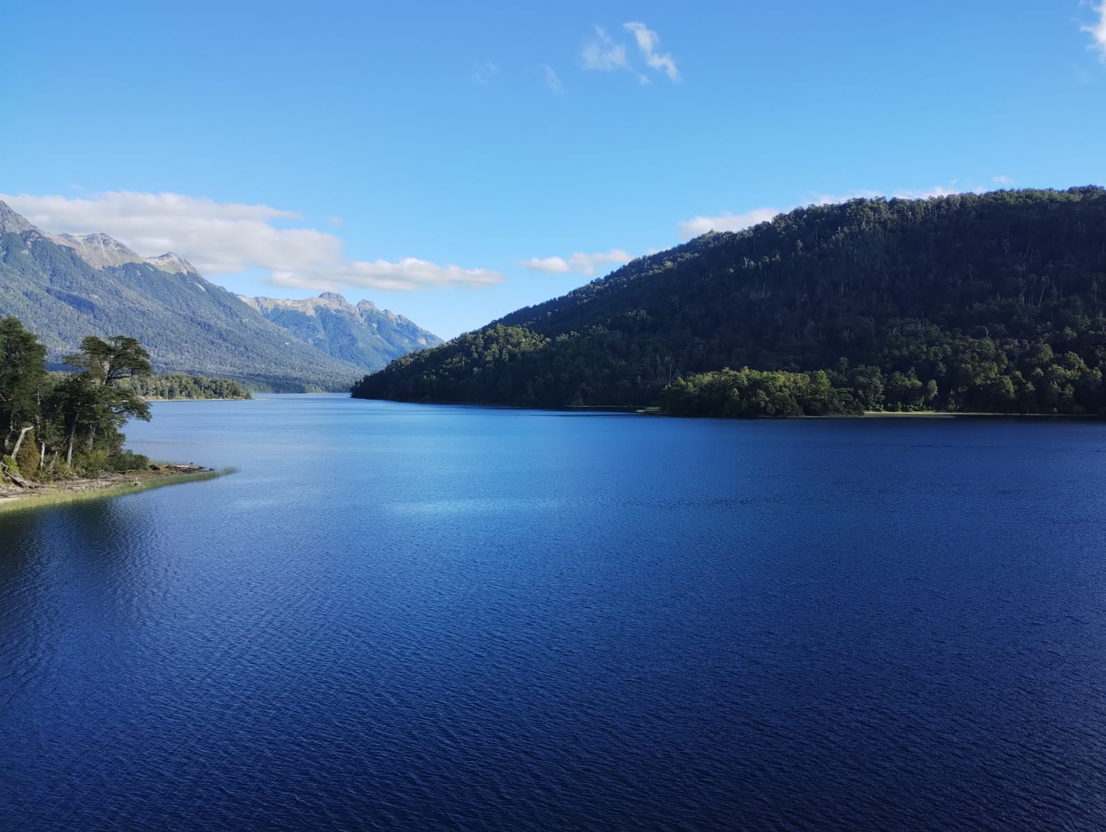 1c78e7dc-2342-45a3-9ea0-81025b478c9f